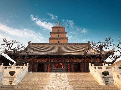 Gran Pagoda de Ganso Salvaje