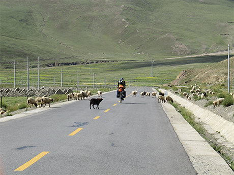 Carretera 318 entre Shigaste y Lhasa