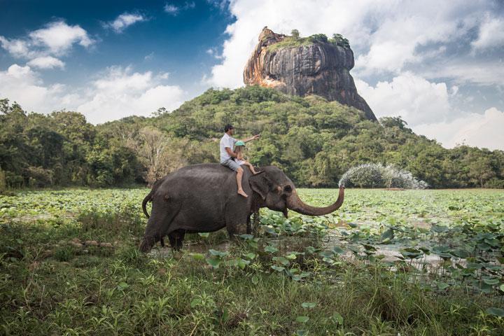 Montando el elefante