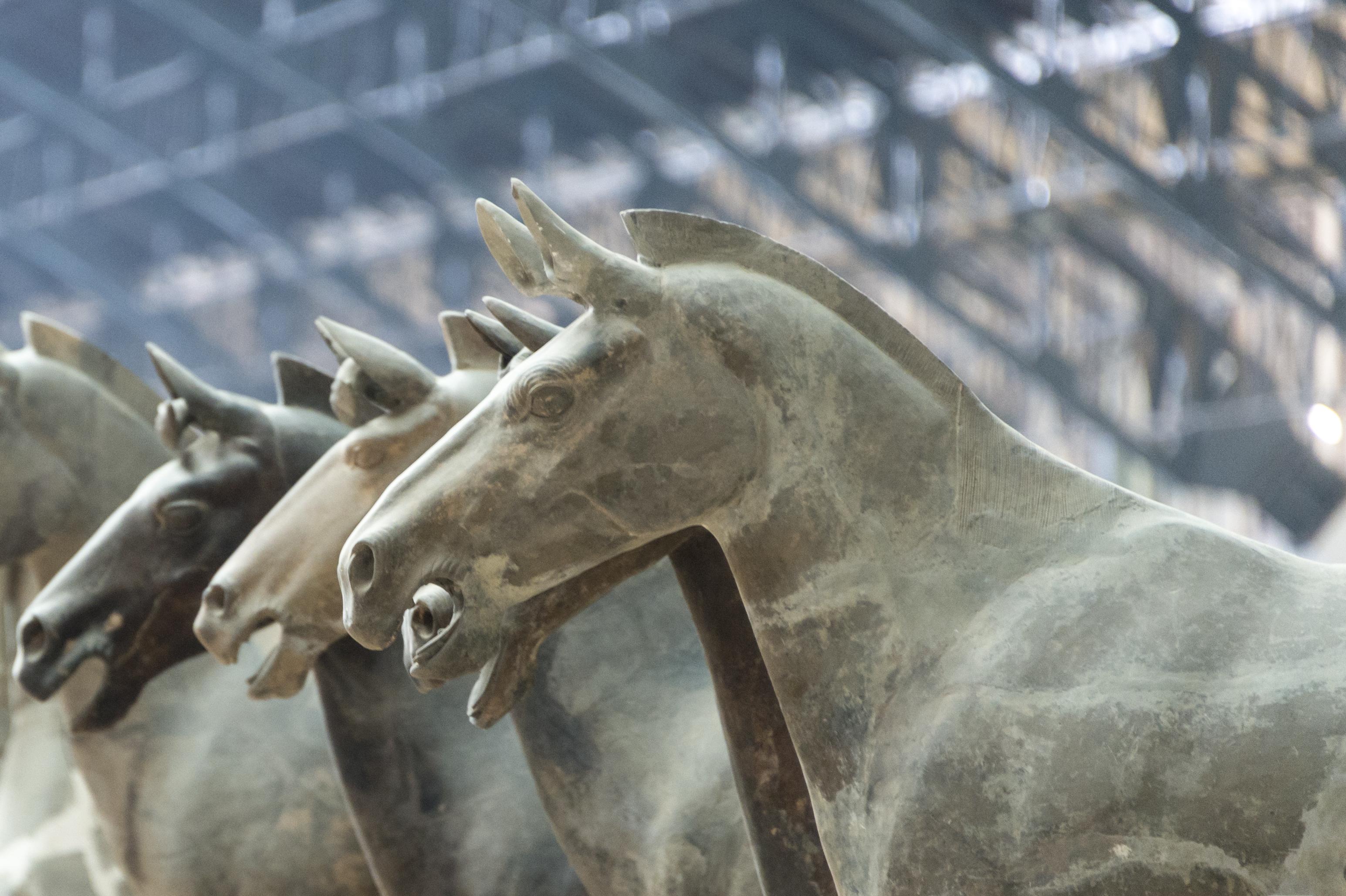 Caballos de terracota