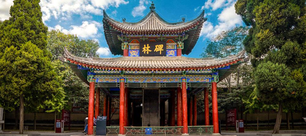 Museo del Bosque de Estela