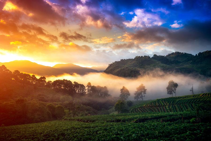 Chiang Mai naturaleza