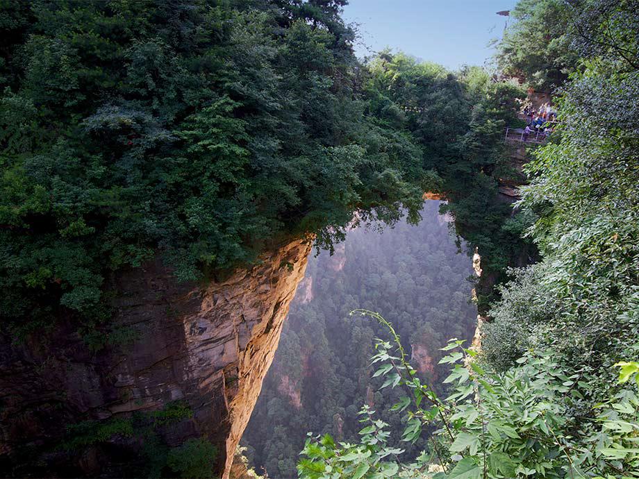 Parque Forestal Nacional
