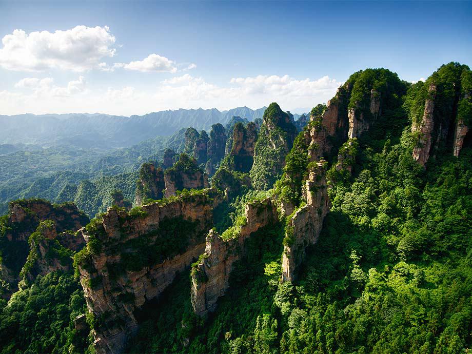 Parque Forestal Nacional