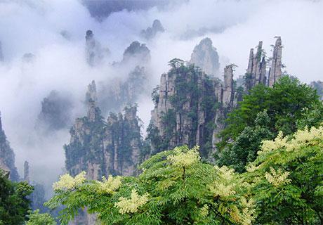 Viaje Beijing, Zhangjiajie, Shanghai