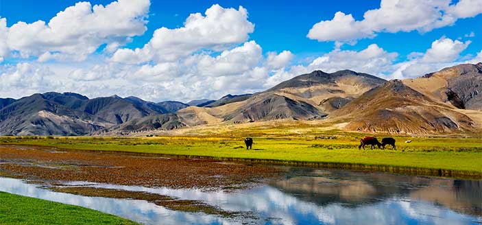 Tibet