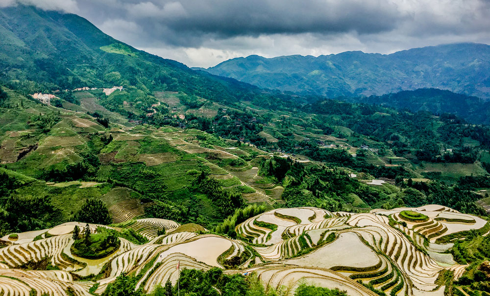 arrozales en terrazas guilin