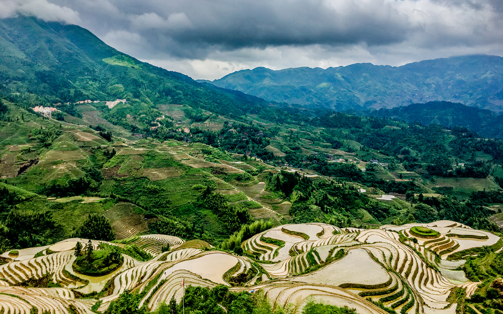Arrozles en terrazas longsheng