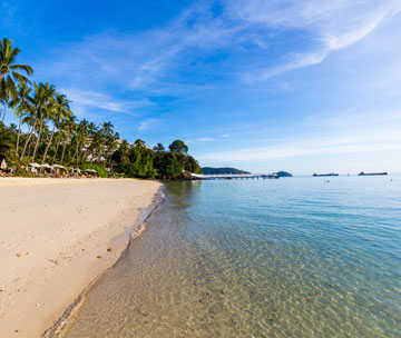 The Yellow Mountains