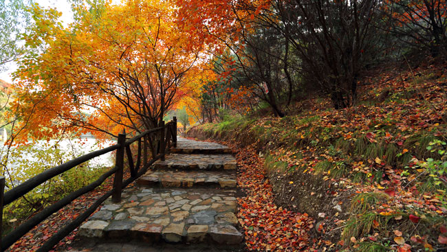 viajar a china en otoño