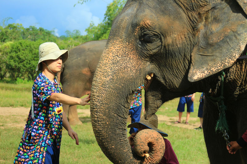Parque natural del elefante