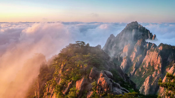 arrozales en terrazas
