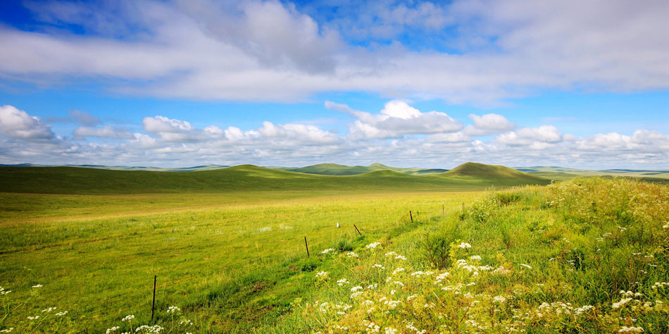 grassland in Inner Mongolia