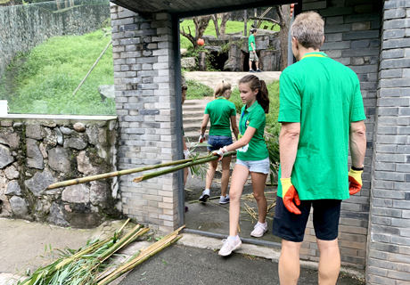 Hace voluntario de oso panda