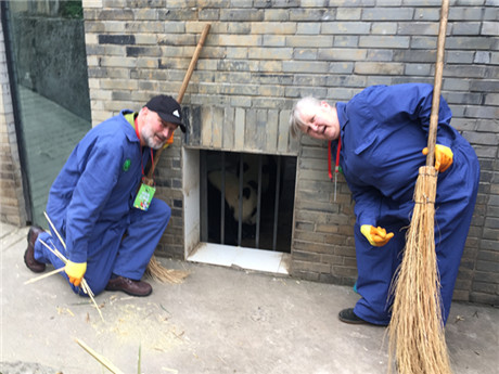 Limpiar la cama de panda