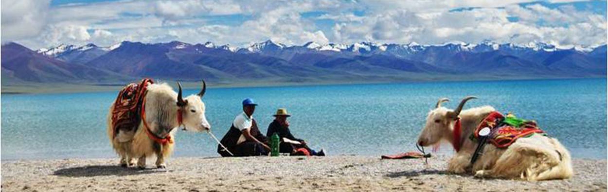 Parque nacional Nyainqêntanglha Shan