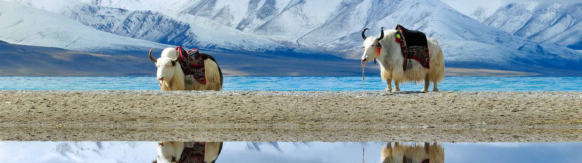5 Días Lhasa Esencias y Lago Sagrado Yamdrok