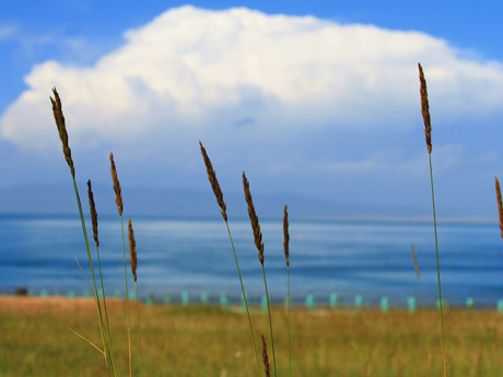 El lago de Qinghai