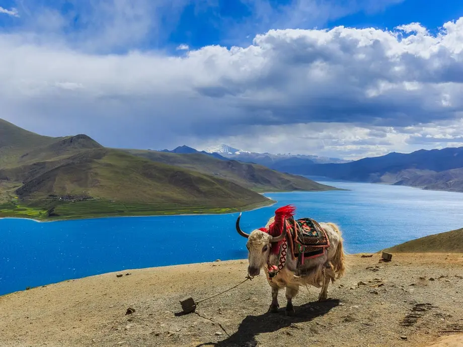 Lago Sagrado Yamdrok