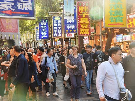 Los Barrios Musulmanes