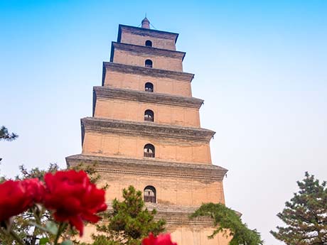 Gran Pagoda del Ganso Salvaje