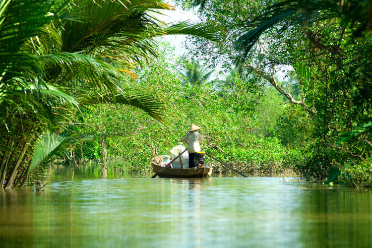Delta del Mekong