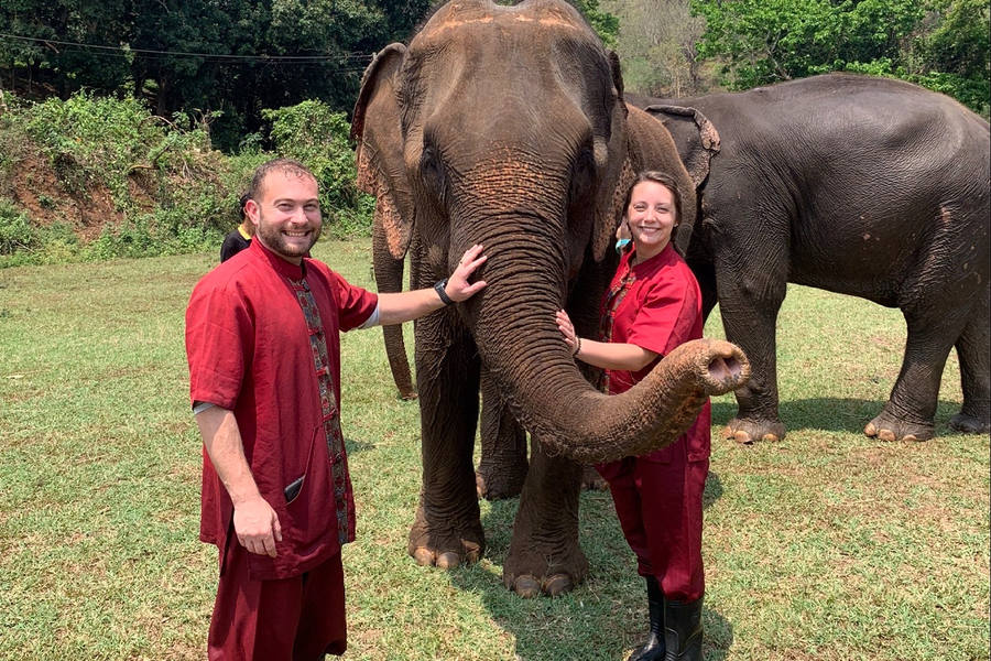 Satuario de elefante en Chiang Mai