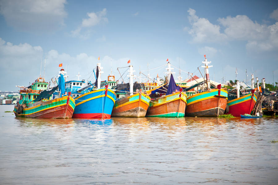 delta del Mekong