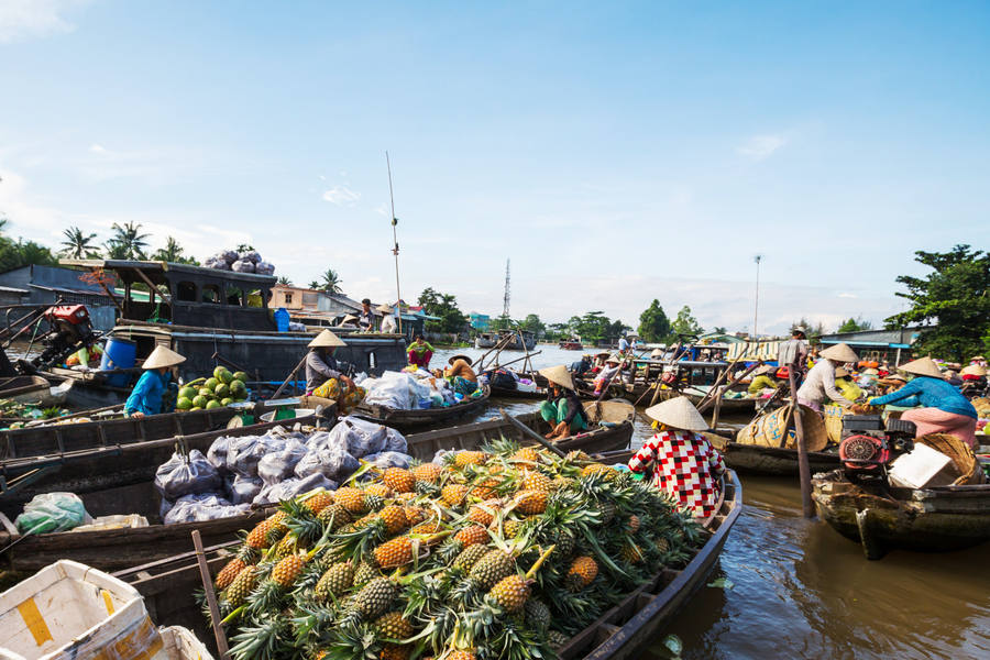 Mercado flotante del delta del Mekong