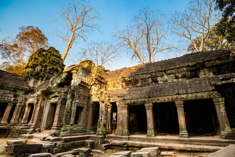 Ta Prohm