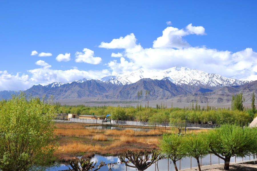 Ladakh
