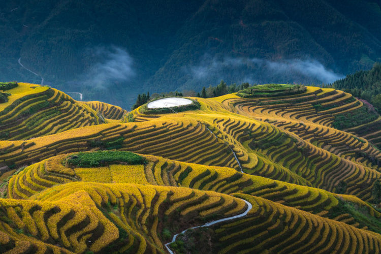 Terrazas de arroz
