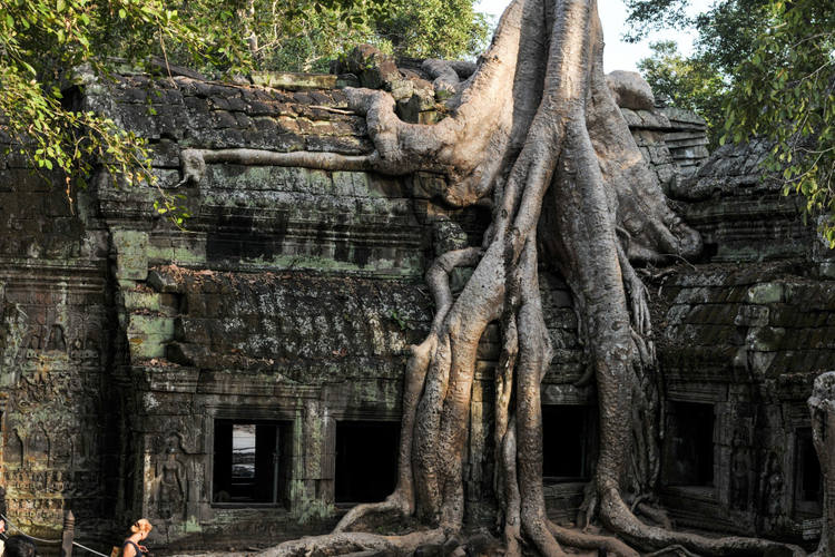11 Días - Mejor de Tailandia y Camboya