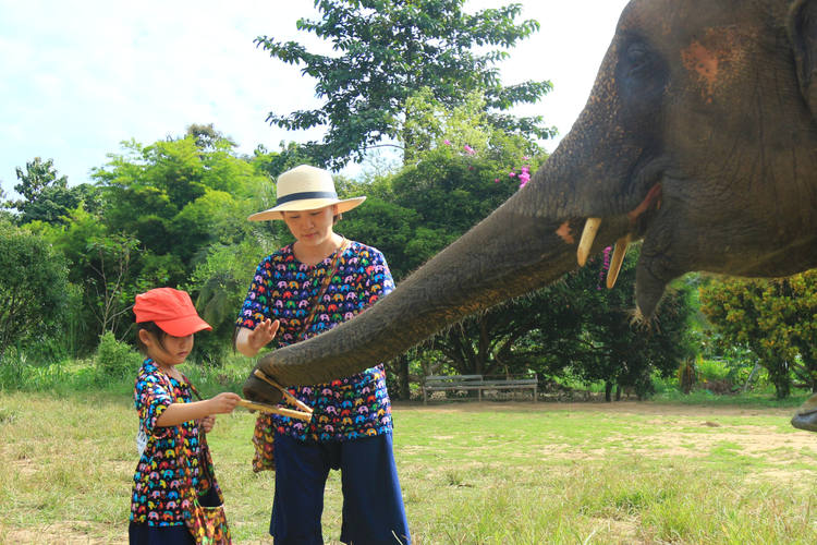 11 días para viajar a Tailandia y Camboya