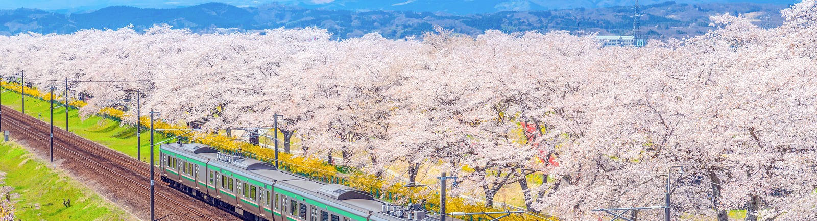 Mejor época para viajar a Japón - Según el clima, festival y actividad