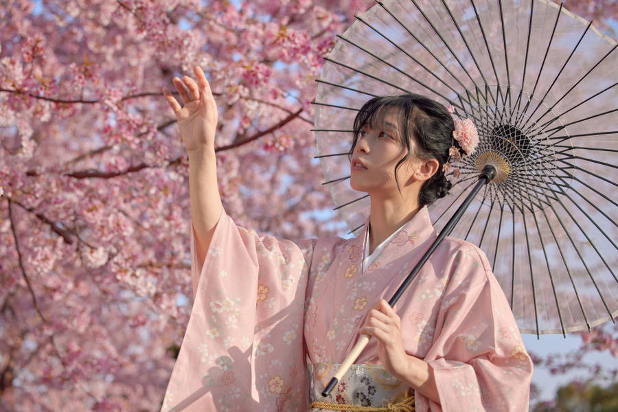 Komon Kimono, Kimono Mujer