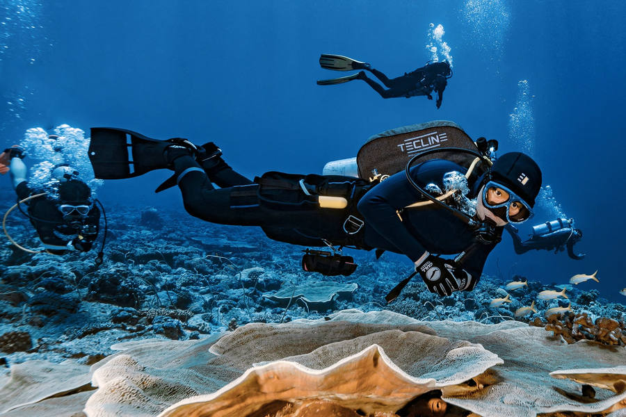 Buceo en el mar
