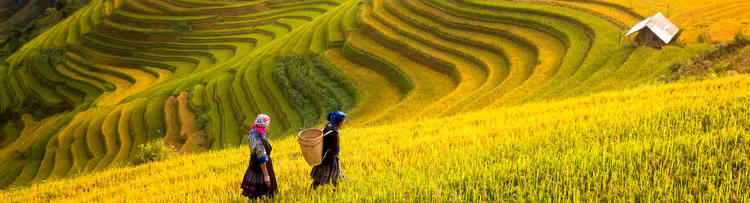 Mejor (peor) época para viajar a Vietnam