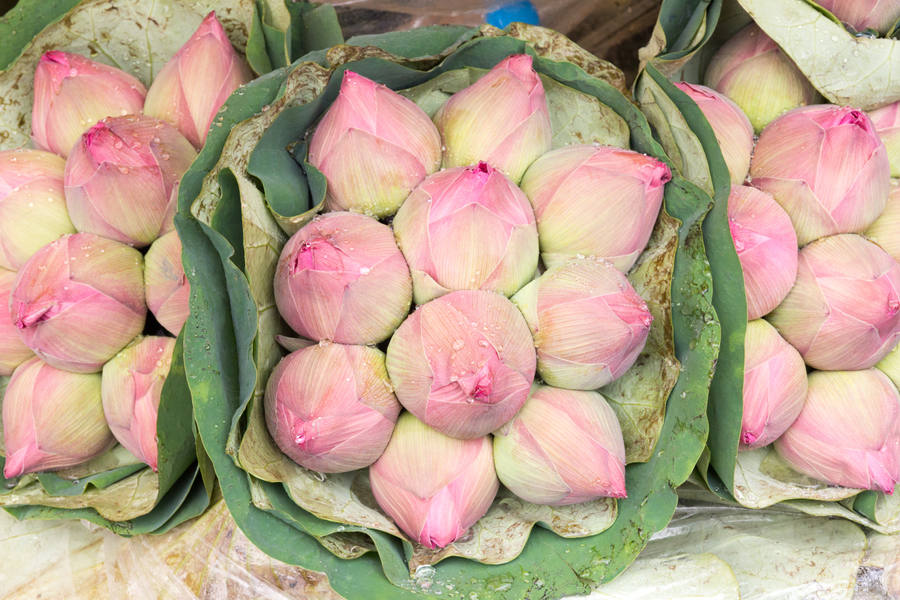 Mercado de las Flores Chiang Mai