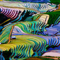 ¿Qué es mejor Vietnam o Camboya? - 12 grandes diferencias