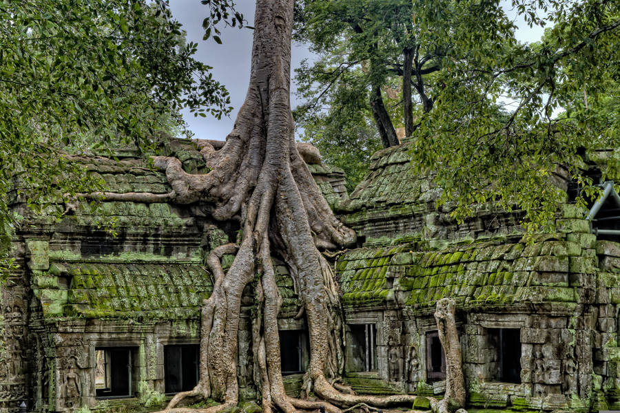 Siem reap
