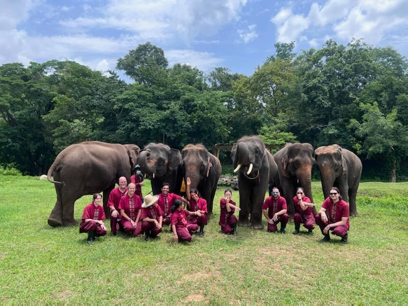 Nuestros clientes y guía en Santuario de elefante de Chiang Mai, Tailandia