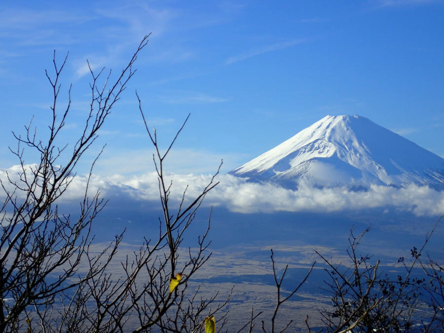 monte fuji
