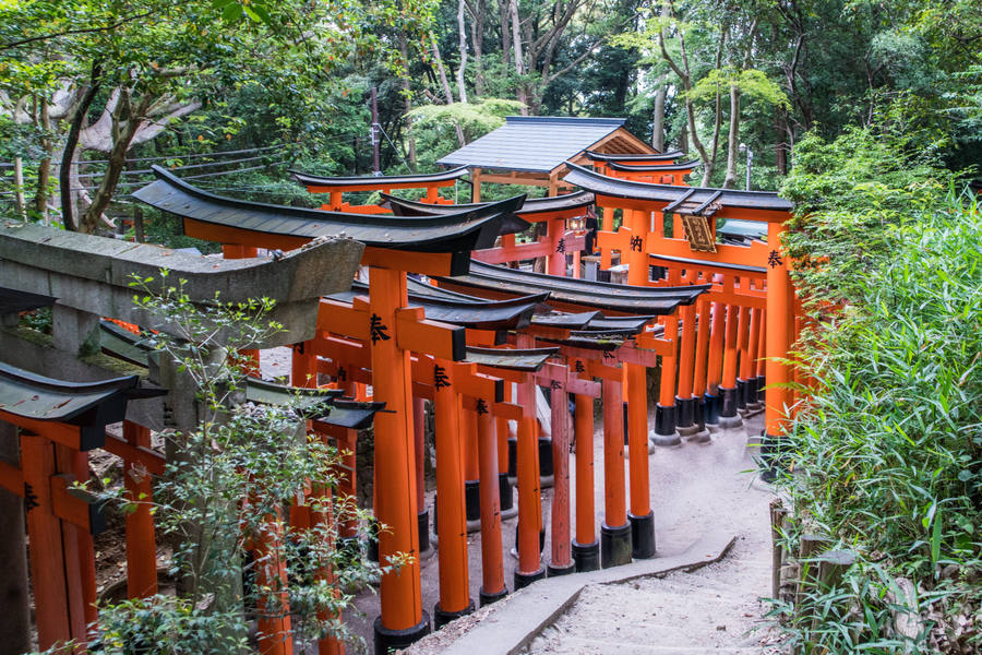 fushimi inari
