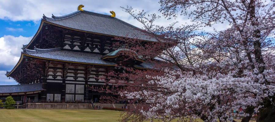 Templo Todaiji