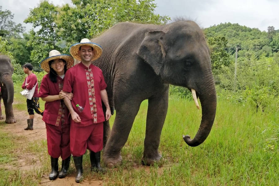 Interactuar con los asombrosos elefantes en Chiang Mai