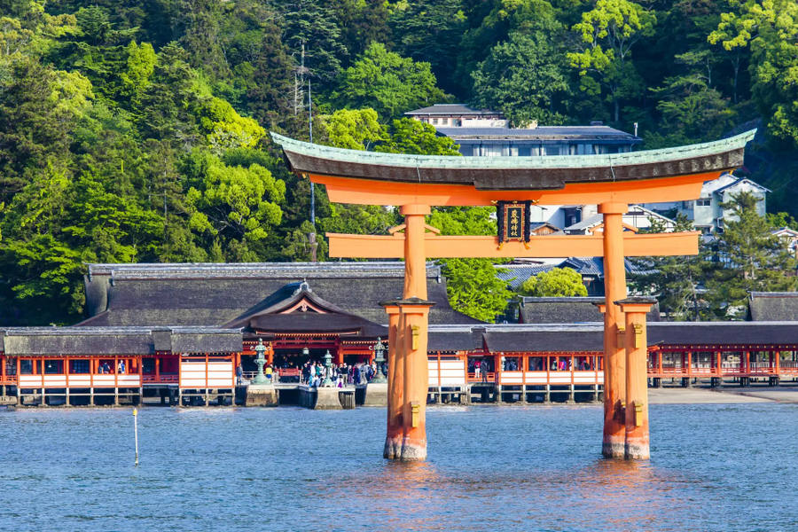 Torii Flotante del Santuario Itsukushima