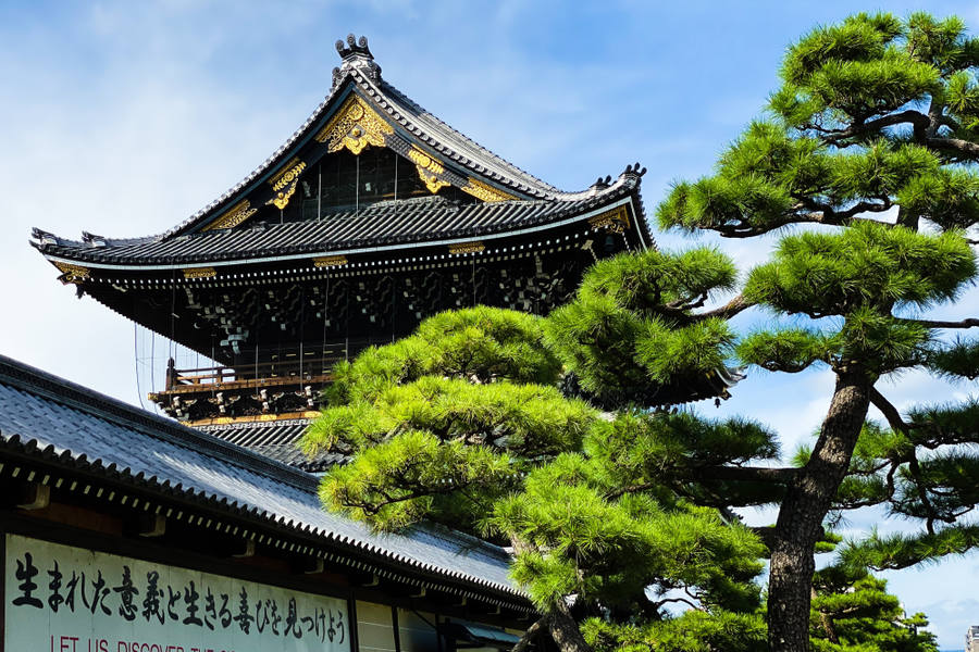 castillo nijo, Patrimonio Mundial de la UNESCO de Kioto