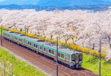 Mejor época para viajar a Japón: Según el clima, festival y actividad
