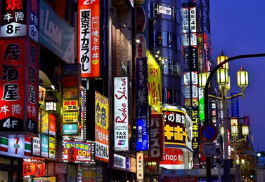 Cómo organizar un viaje a Japón